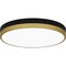 Quoizel Weldin Flush Mount Led Matte Black Gold WLN1615MBKG - alternate 1